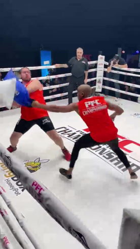 Pillow Fight Championship