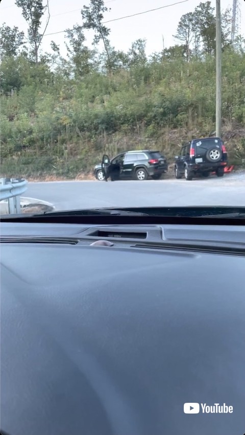 遠くから見た熊