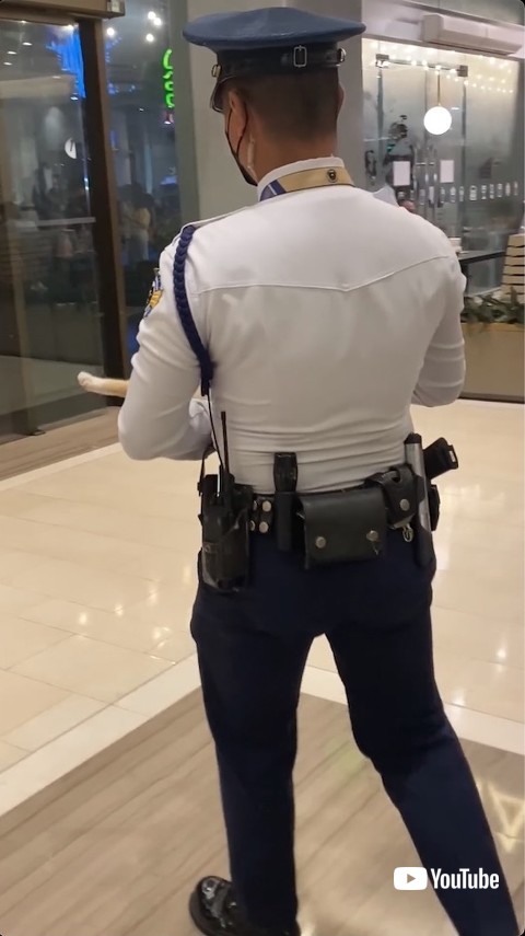 連れ去られる猫