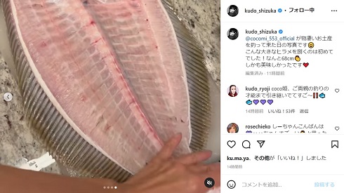 Cocomiが釣ったヒラメを工藤静香がさばく