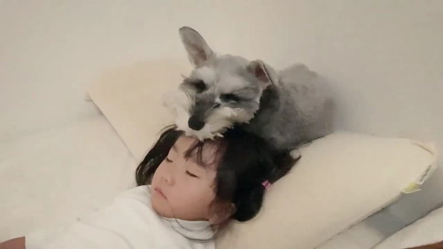 頭ピタ
