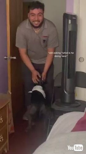 「Woman Surprises Husband by Getting Foster Dog For Him - 1353168-1」