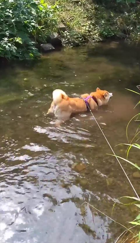 お尻あげてる後ろ姿