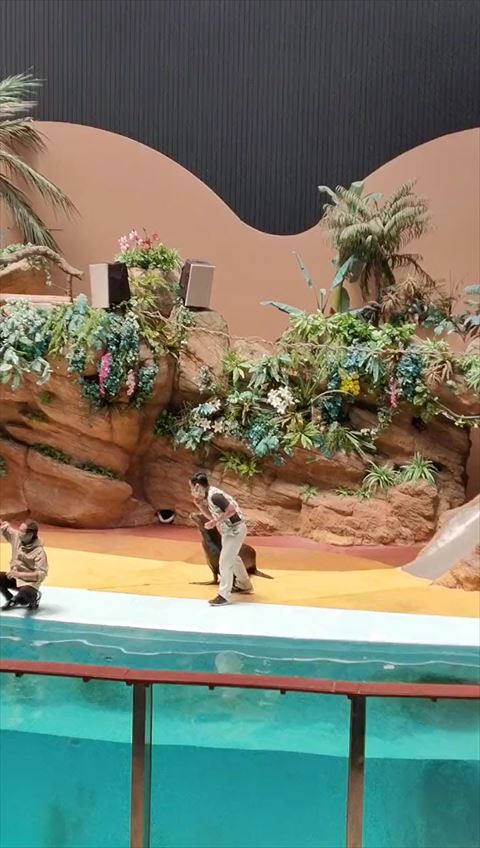 アドベンチャーワールド