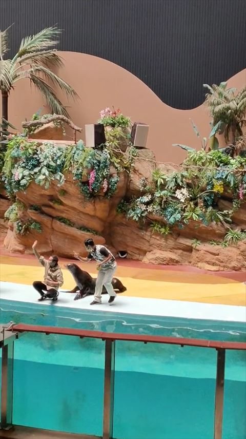 指をさしてるお兄さん