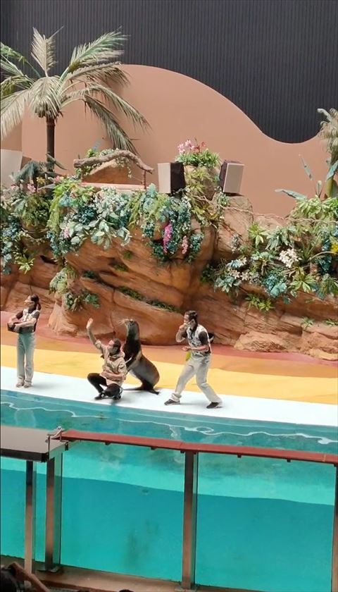 スタッフの背中につかまるアシカ