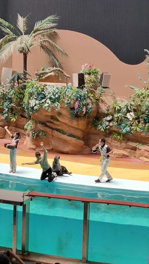 両手を広げるお兄さん