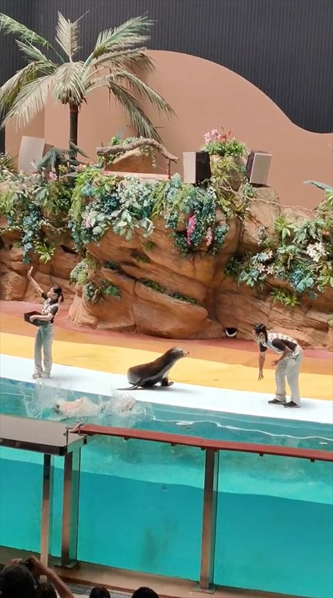 水に落ちるお兄さん