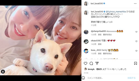 トリンドル玲奈と愛犬とトリンドル瑠奈