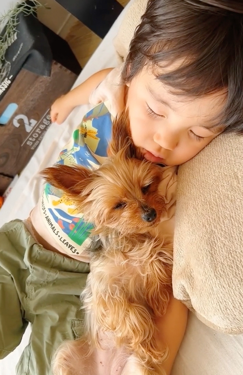 お昼寝前にじゃれあう息子とワンコ