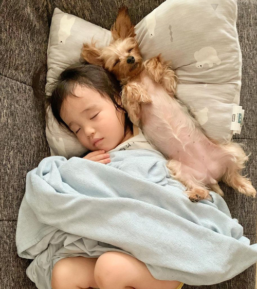 ソファーで寝るのあちゃんと息子さん