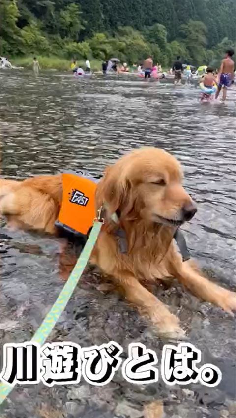 川遊びとはテロップ