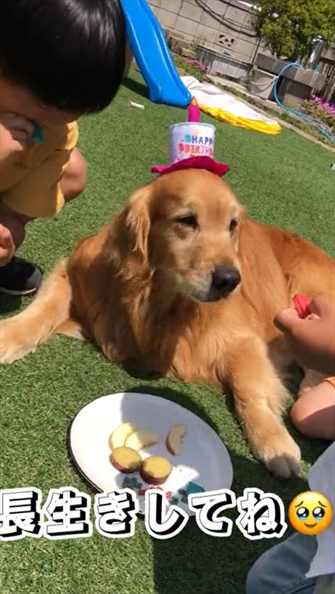 誕生日帽子かぶってる