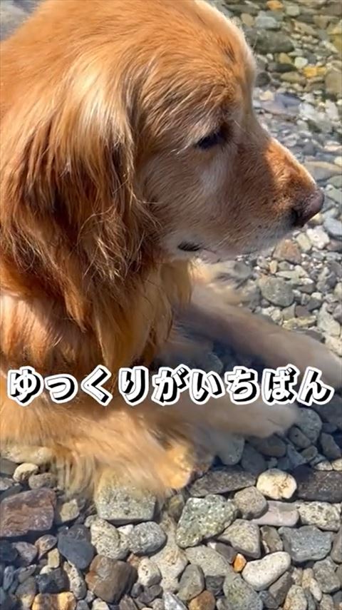 のんびりがいちばんテロップ