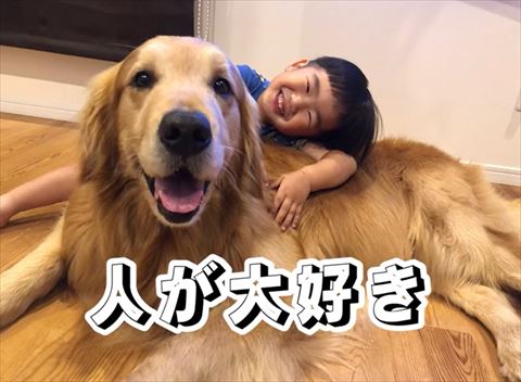 子どもとワンコ