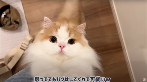 アップのレモンくん