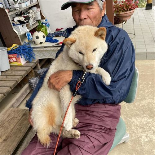 おじいちゃんとワンコ
