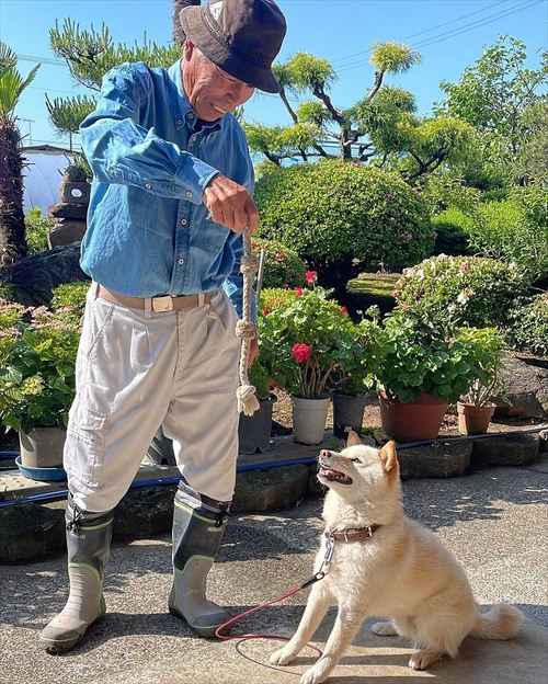 おじいちゃんとワンコ