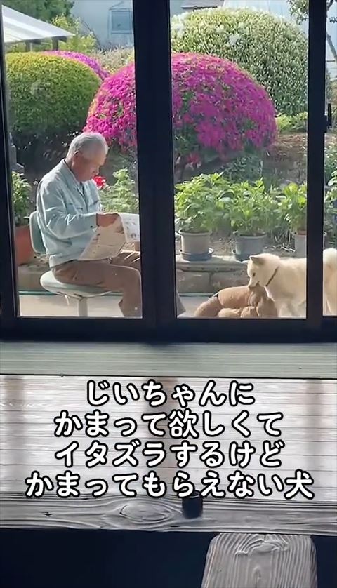 ベッドくわえる横顔