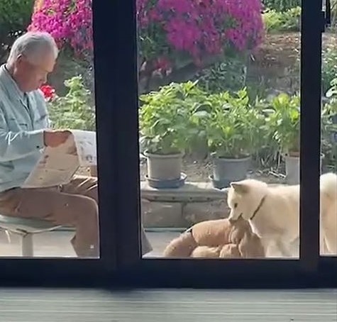 ベッドくわえる横顔