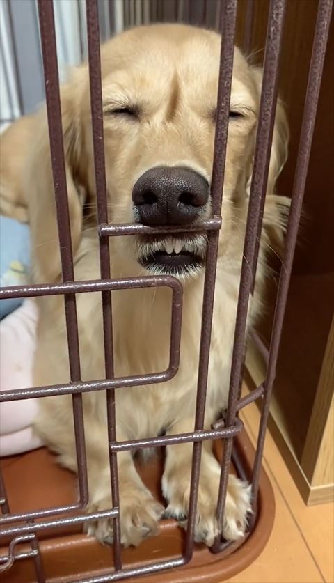 少し歯がでてる