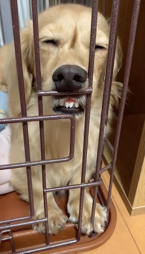 歯茎少し見える