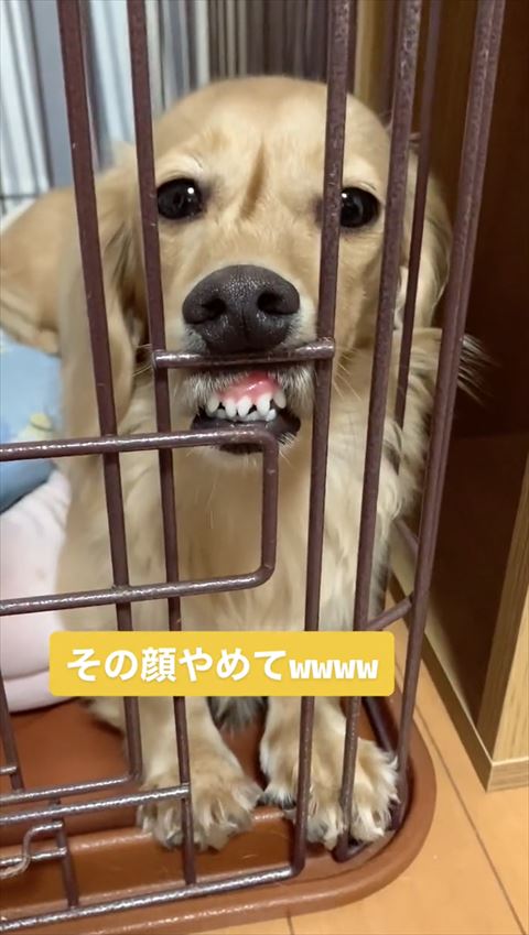 目開けて歯茎だしてる