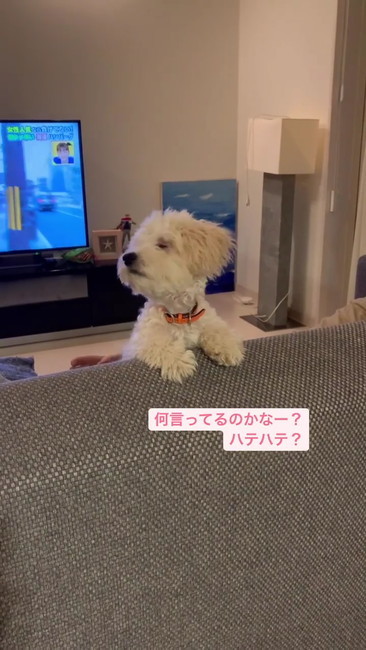 何を言っているのかな？