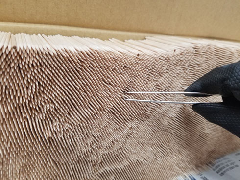 つまようじチェック