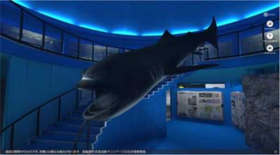VR京急油壺マリンパーク バーチャル空間 3D化 水族館