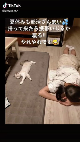 長女と猫ちゃんの夏休み