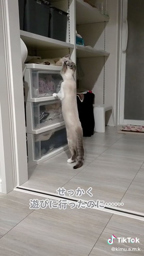 モカちゃんとラテちゃん