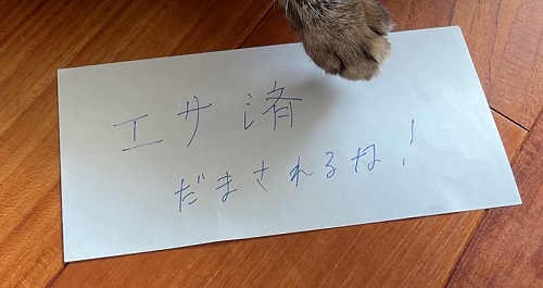 手紙トリミング