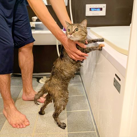 お風呂入ってる