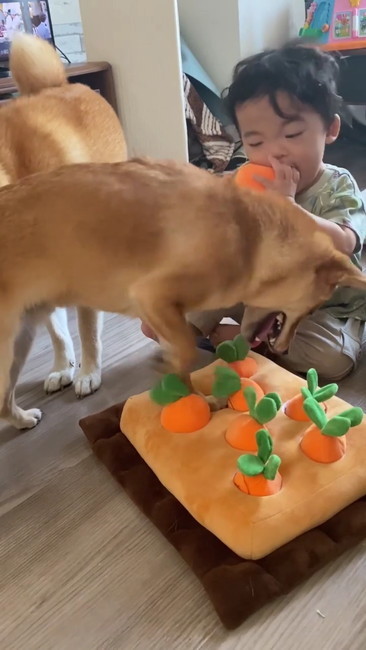 にんじん食べる子ども