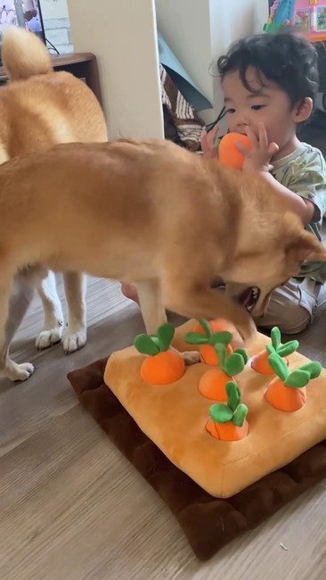 にんじん食べる子ども6