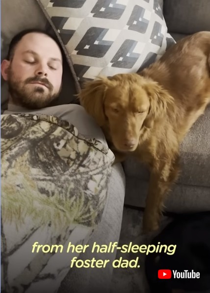 保護主と保護犬