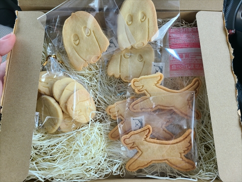 犬用クッキー食べちゃった