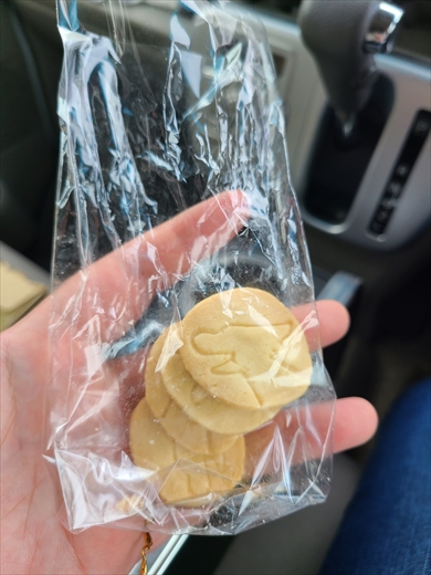 犬用クッキー食べちゃった