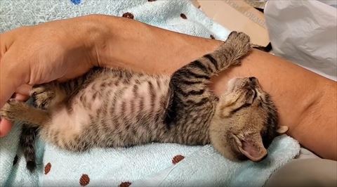 腕につかまって寝る