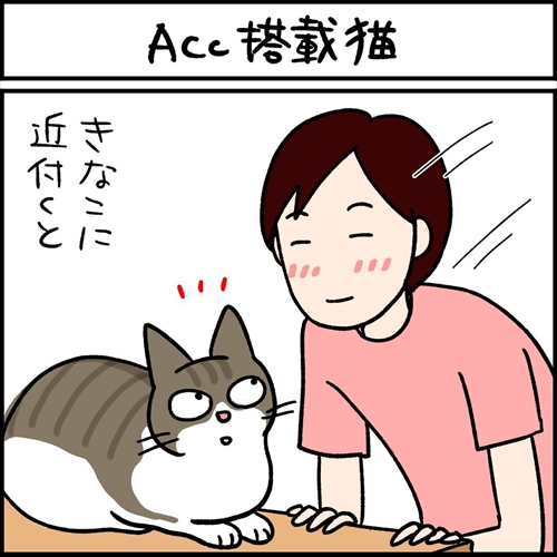 ナノトクラス猫漫画1