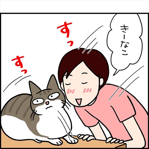 ナノトクラス猫漫画2