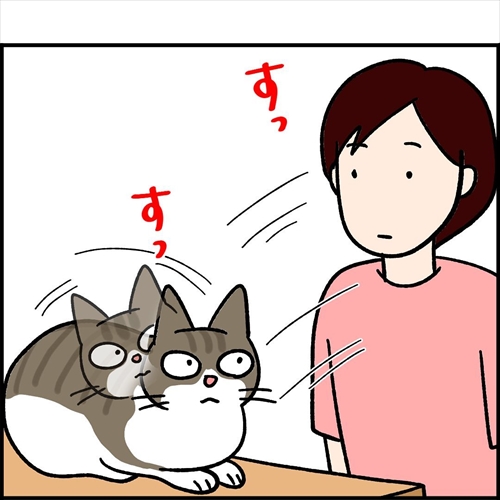 ナノトクラス猫漫画3