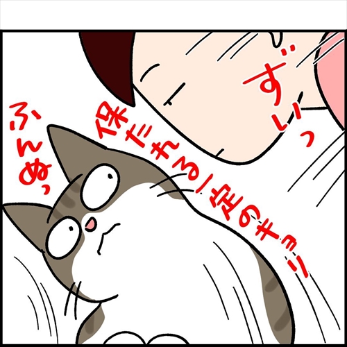 ナノトクラス猫漫画4