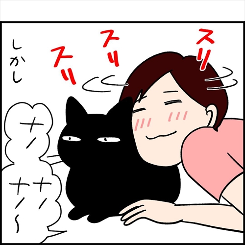 ナノトクラス猫漫画7