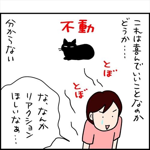 ナノトクラス猫漫画8