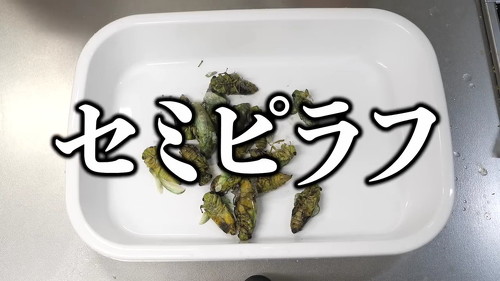 セミピラフ調理スタート