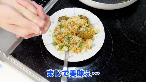セミピラフ食レポ