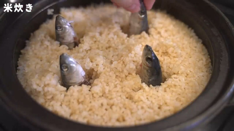 17世紀の料理本で江戸時代のご飯作りに挑戦する動画が興味深い　炊飯中にイワシの頭が飛び出す衝撃