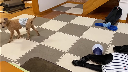 ふりむく幸くん